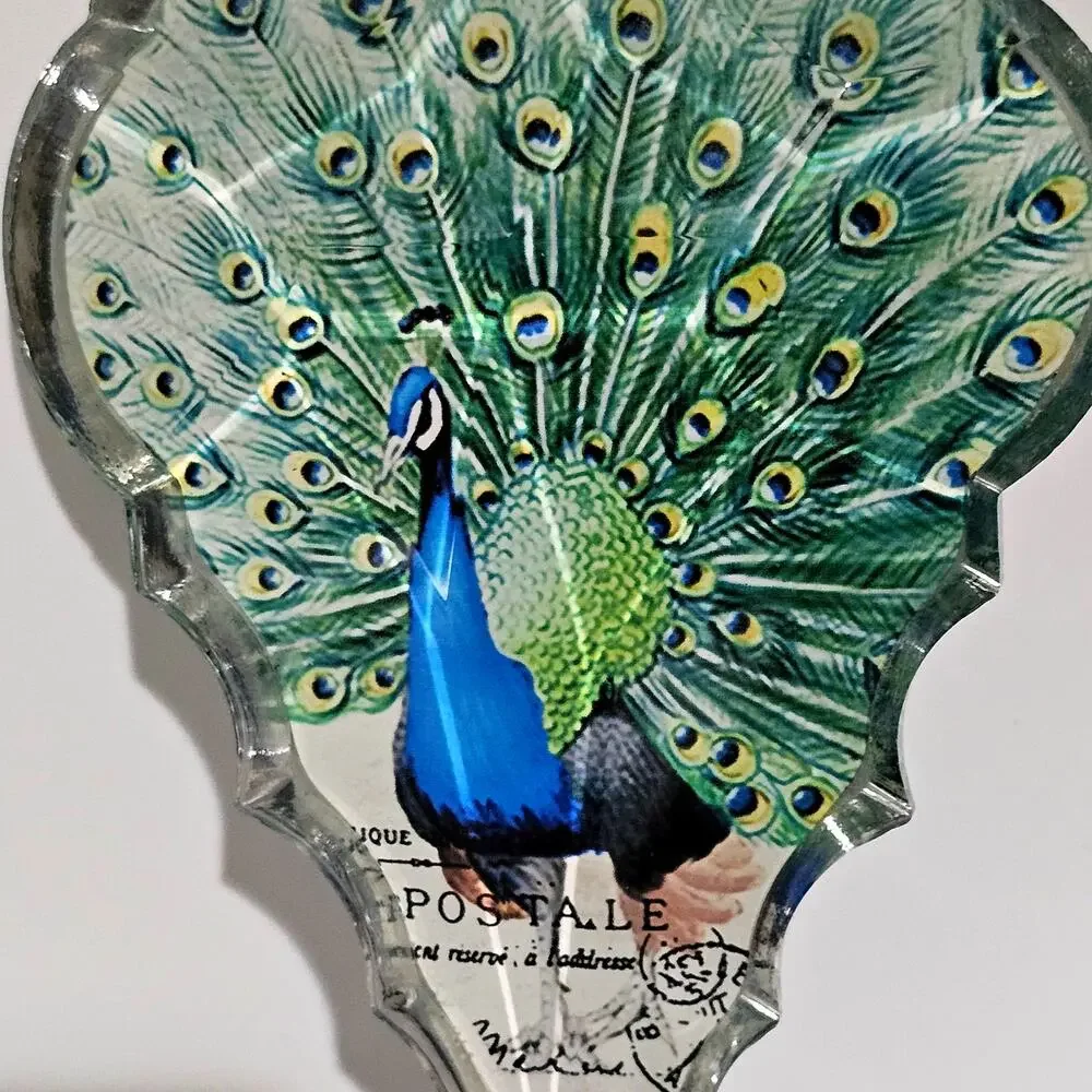 Pier 1 acrylic peacock